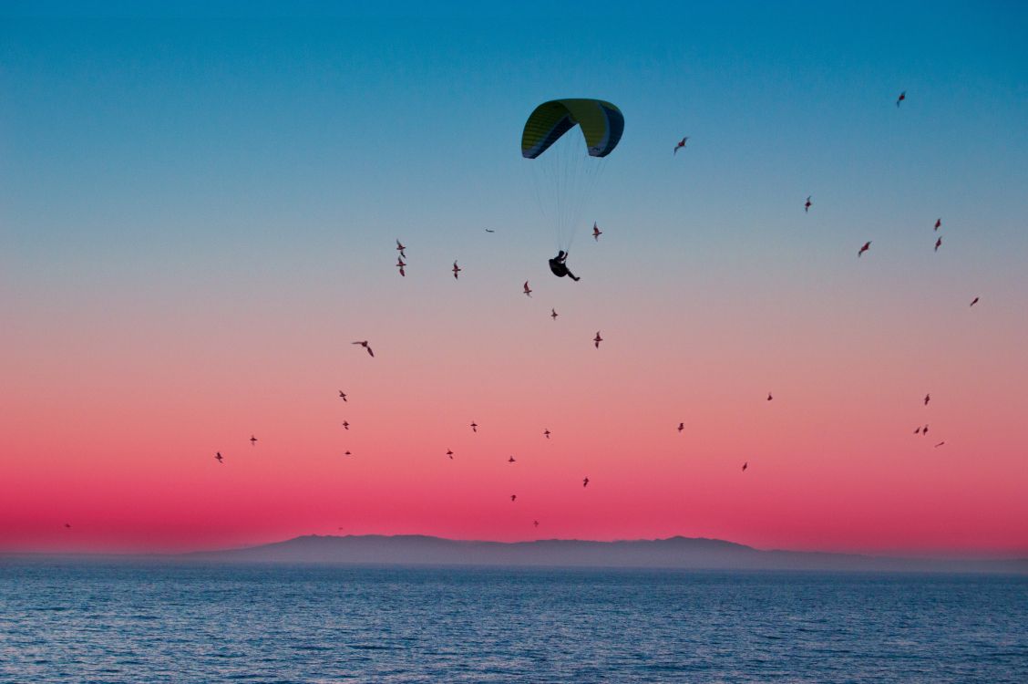 地平线, 空中运动, 降落伞, 大海, 粉红色 壁纸 6016x4000 允许