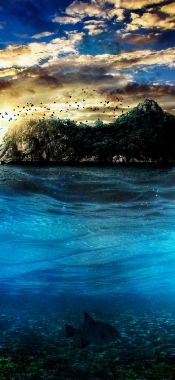 Oppo A37, Oppo A53, Oppo A91, OPPO, Eau. Wallpaper in 1080x2340 Resolution