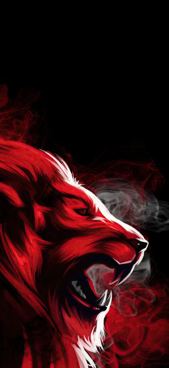 Ios, Cabeza, Cuerpo Humano, Quijada, Carnívoro. Wallpaper in 1080x2340 Resolution