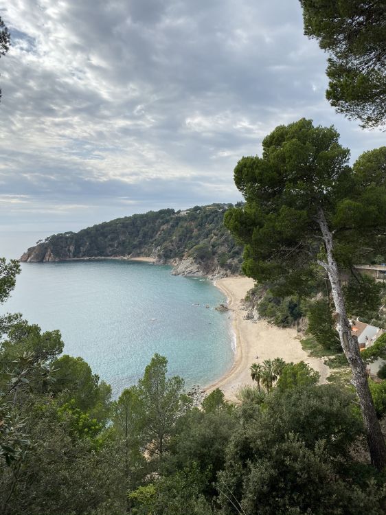 Costa, Cuerpo de Agua, Los Recursos de Agua, Orilla, Bay. Wallpaper in 1536x2048 Resolution