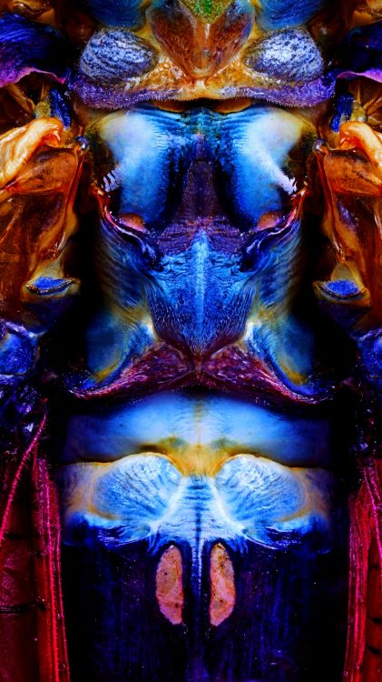 Spezialeffekt, Blau, Purpur, Electric Blue, Farbigkeit. Wallpaper in 1080x1920 Resolution