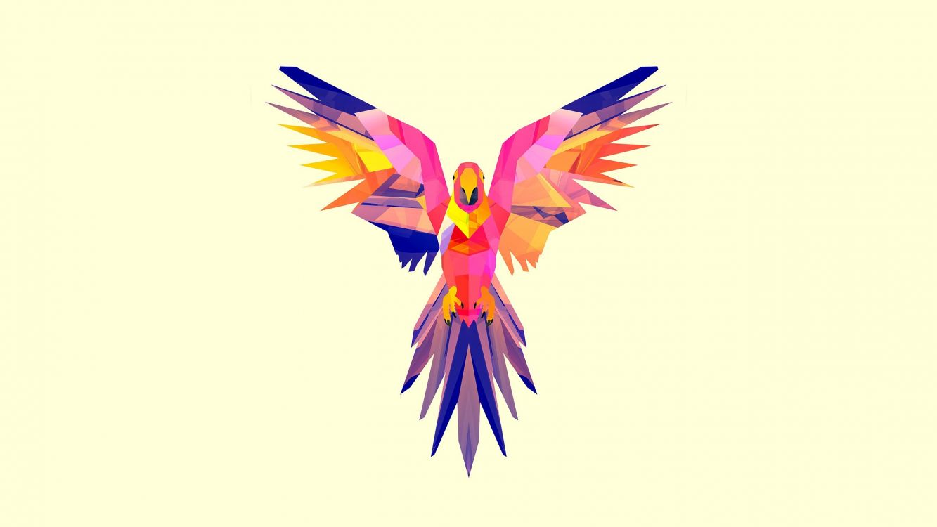 yellow blue and red bird illustration