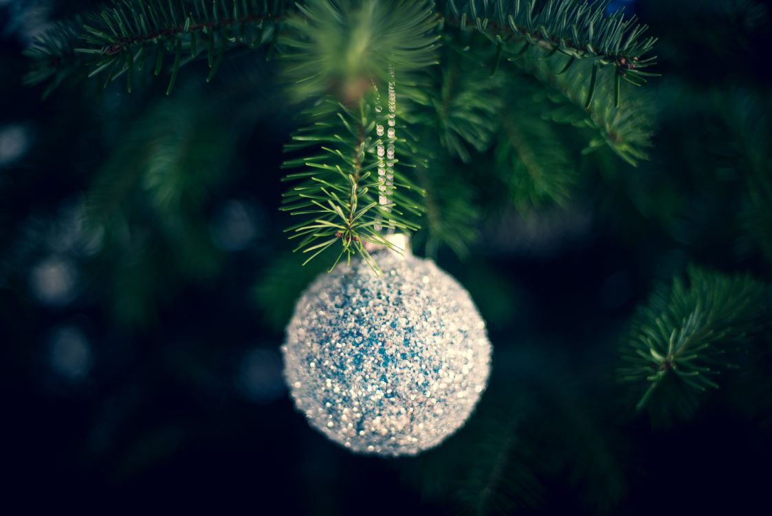 Weihnachten, Weihnachtsbaum, Christmas Ornament, Baum, Gr. Wallpaper in 7206x4809 Resolution