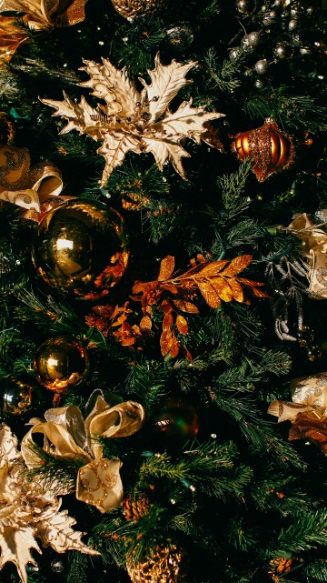 Image Christmas Day, christmas tree, christmas decoration, christmas lights, christmas and holiday season
