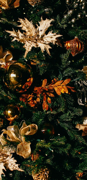 Image Christmas Day, christmas tree, christmas decoration, christmas lights, christmas and holiday season