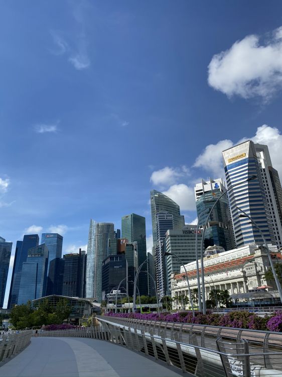 Singapour, Tour de Bloc, la Journée, Zone Urbaine, Métropole. Wallpaper in 1536x2048 Resolution