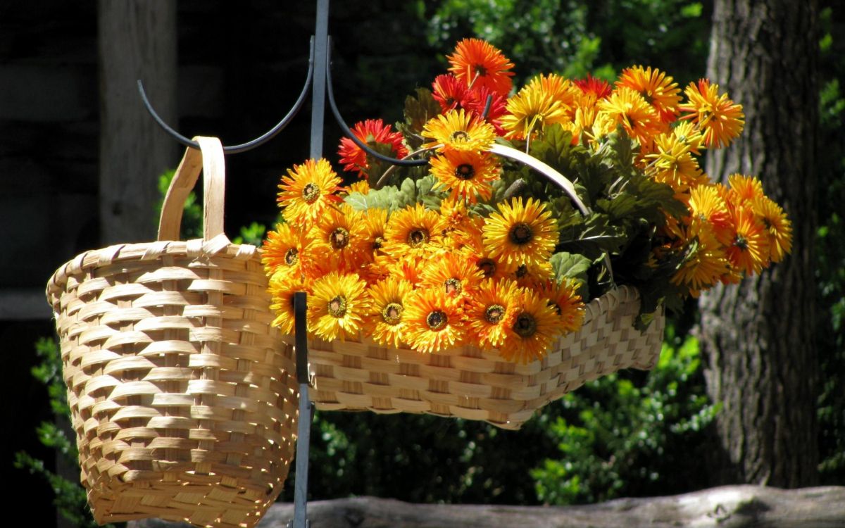 yellow and red flowers on brown woven basket