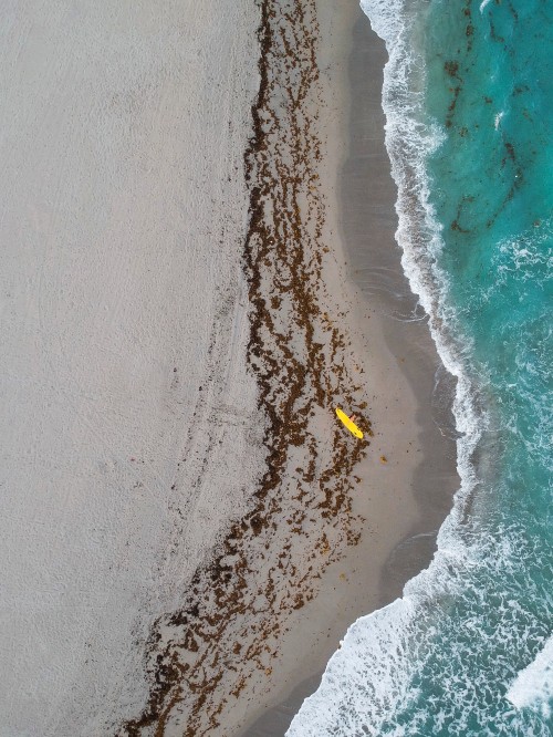 Image aerial view of beach during daytime