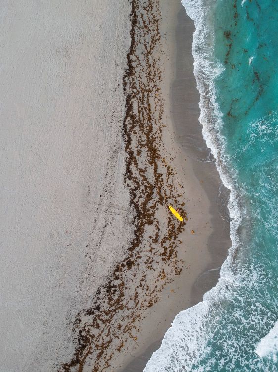 aerial view of beach during daytime