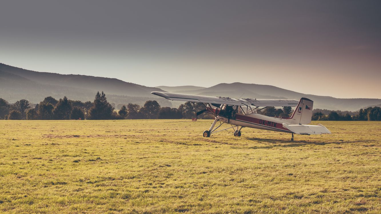 2 Personen Gehen Tagsüber Auf Der Grünen Wiese Grass. Wallpaper in 3840x2160 Resolution