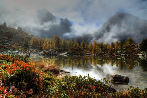 Image green trees near lake under cloudy sky during daytime