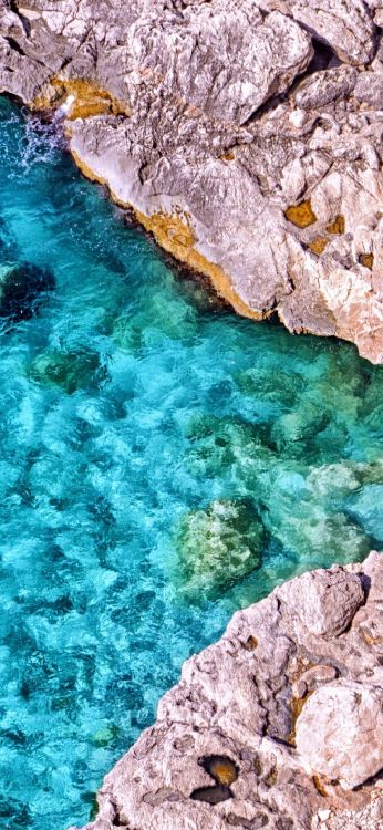 Los Recursos de Agua, Agua, Azure, Verde, la Vegetación. Wallpaper in 1080x2340 Resolution