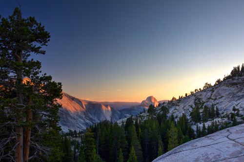 Image green pine trees near brown mountain during daytime