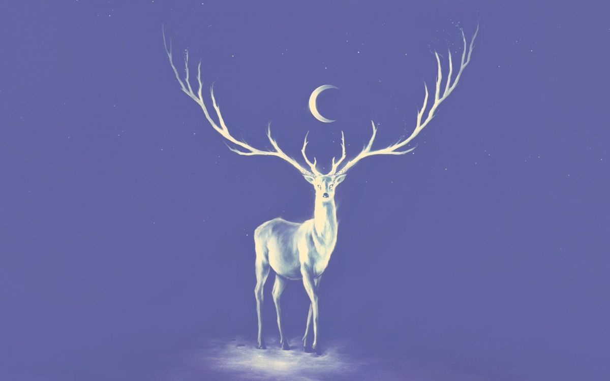 Cerf Brun Debout Sur du Sable Brun Pendant la Nuit. Wallpaper in 2560x1600 Resolution