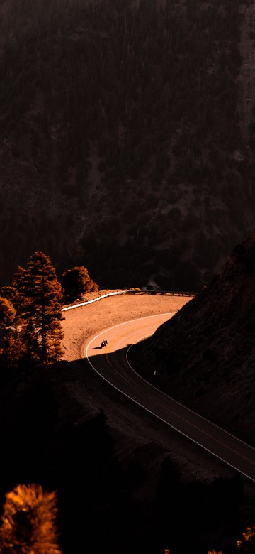 Image alone long drive quotes, quotation, natural landscape, plant, wood