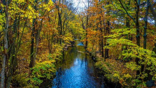 Image river between trees during daytime