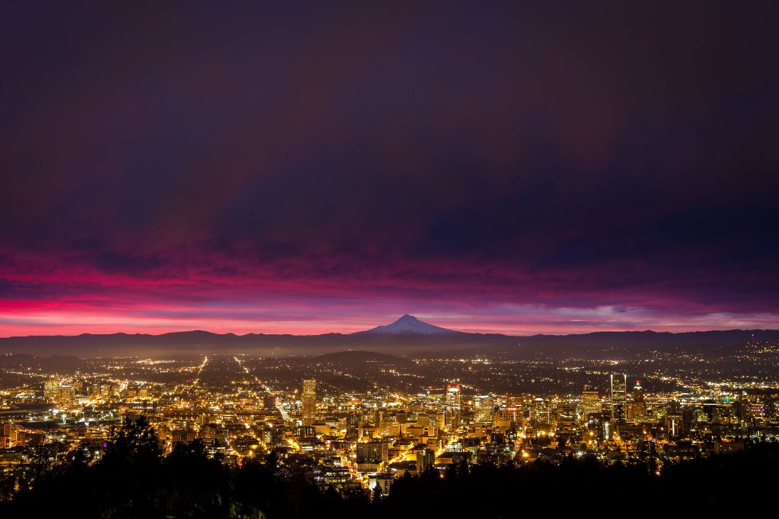 city skyline during night time