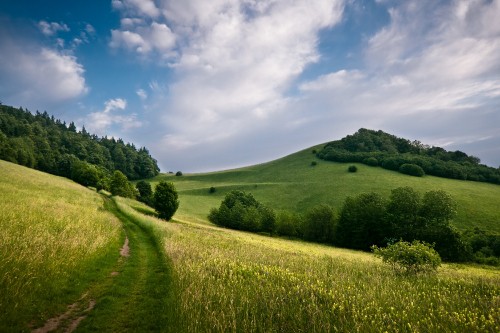 Image green grass field under blue sky during daytime