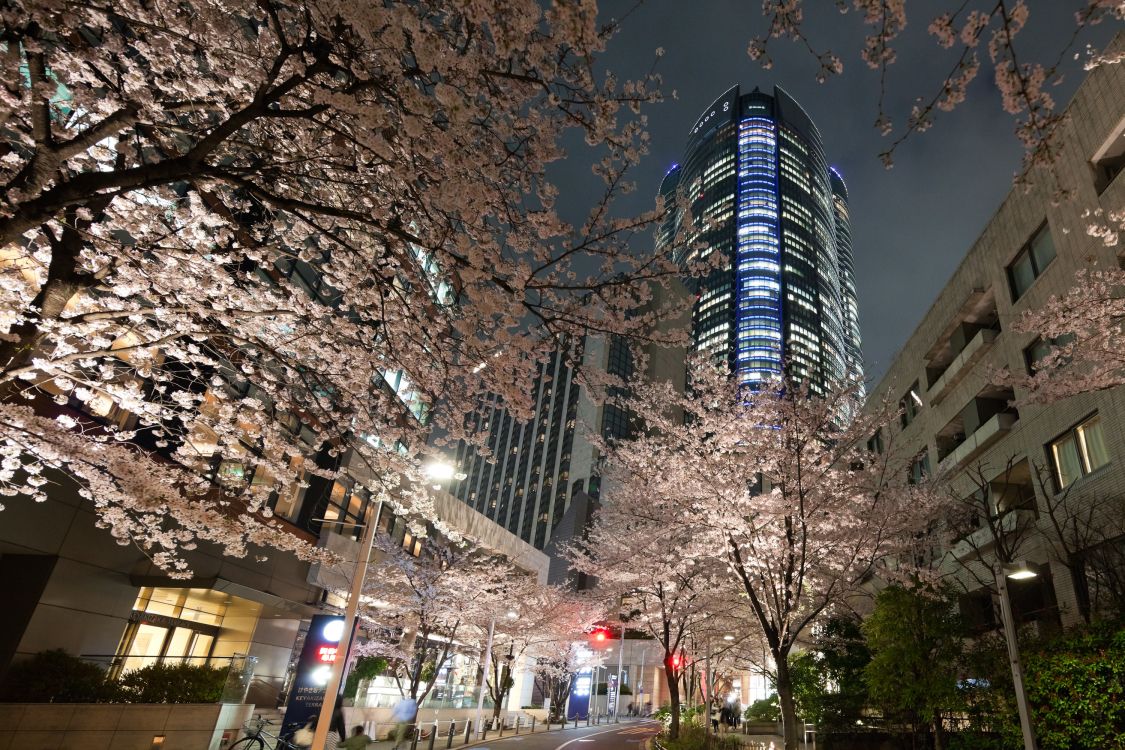 people walking on street during night time