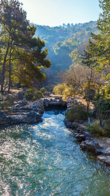 Image green river between green trees during daytime