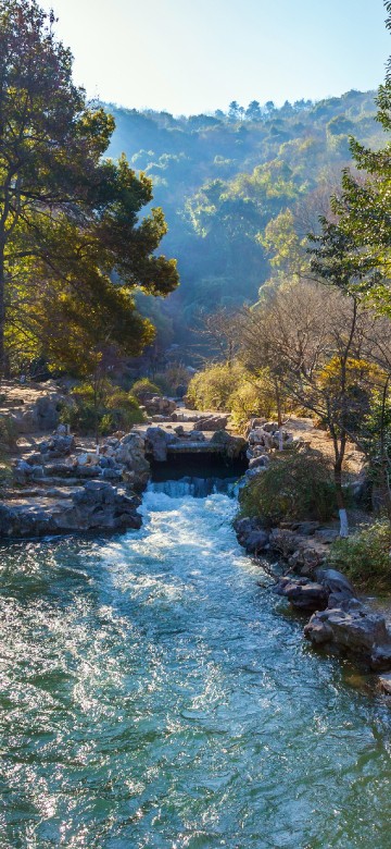 Image green river between green trees during daytime