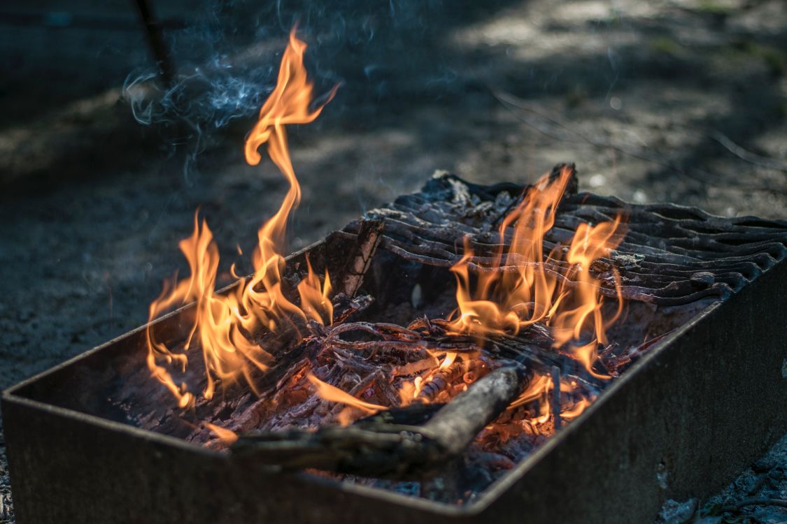Burning Wood on Fire Pit. Wallpaper in 6000x4000 Resolution