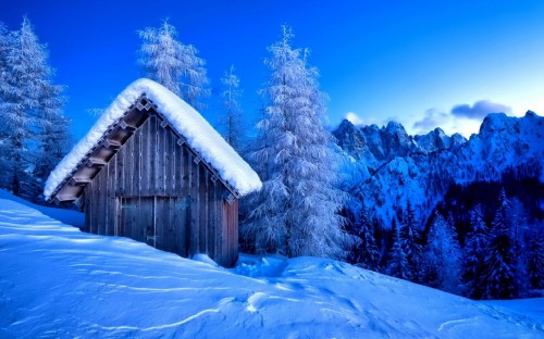 Image brown wooden house near snow covered pine trees under blue sky during daytime