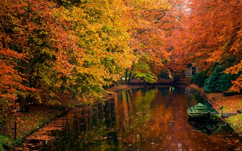 Image green boat on river surrounded by trees during daytime