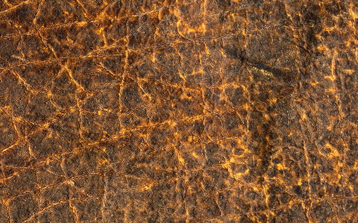 Peinture Abstraite Brune et Noire. Wallpaper in 2560x1600 Resolution