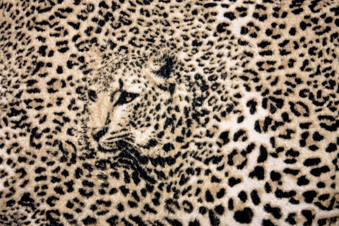 black and white leopard textile