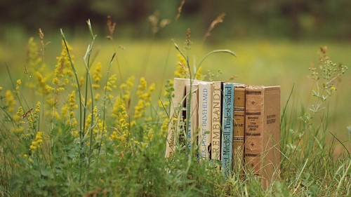 Image brown book on green grass during daytime