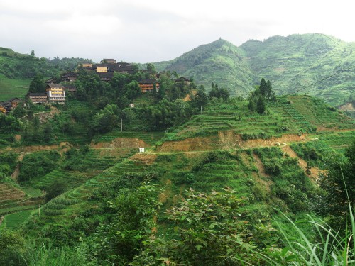 Image green trees on mountain during daytime