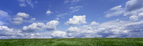 Image green grass field under blue sky and white clouds during daytime