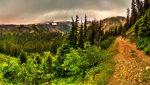 Image green pine trees on mountain under cloudy sky during daytime