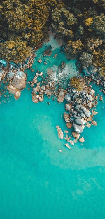 大海, 海岸, 水资源, Azure, 人体内的水 壁纸 1080x2248 允许