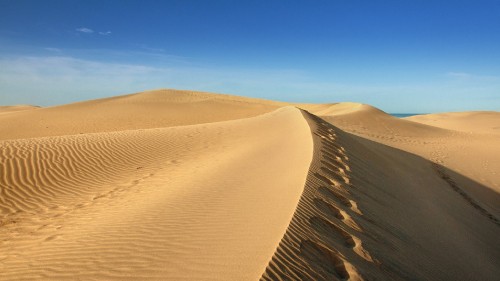 Image brown sand under blue sky during daytime