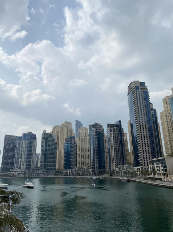 skyscraper, water, daytime, tower block, city