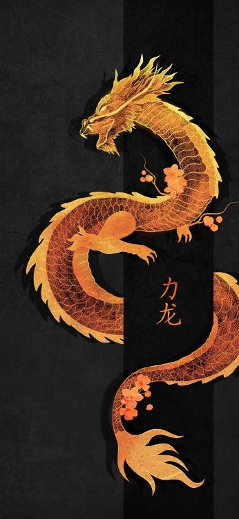 League of Legends, Art, Symbole, Créature Mythique, Dragon. Wallpaper in 1080x2340 Resolution