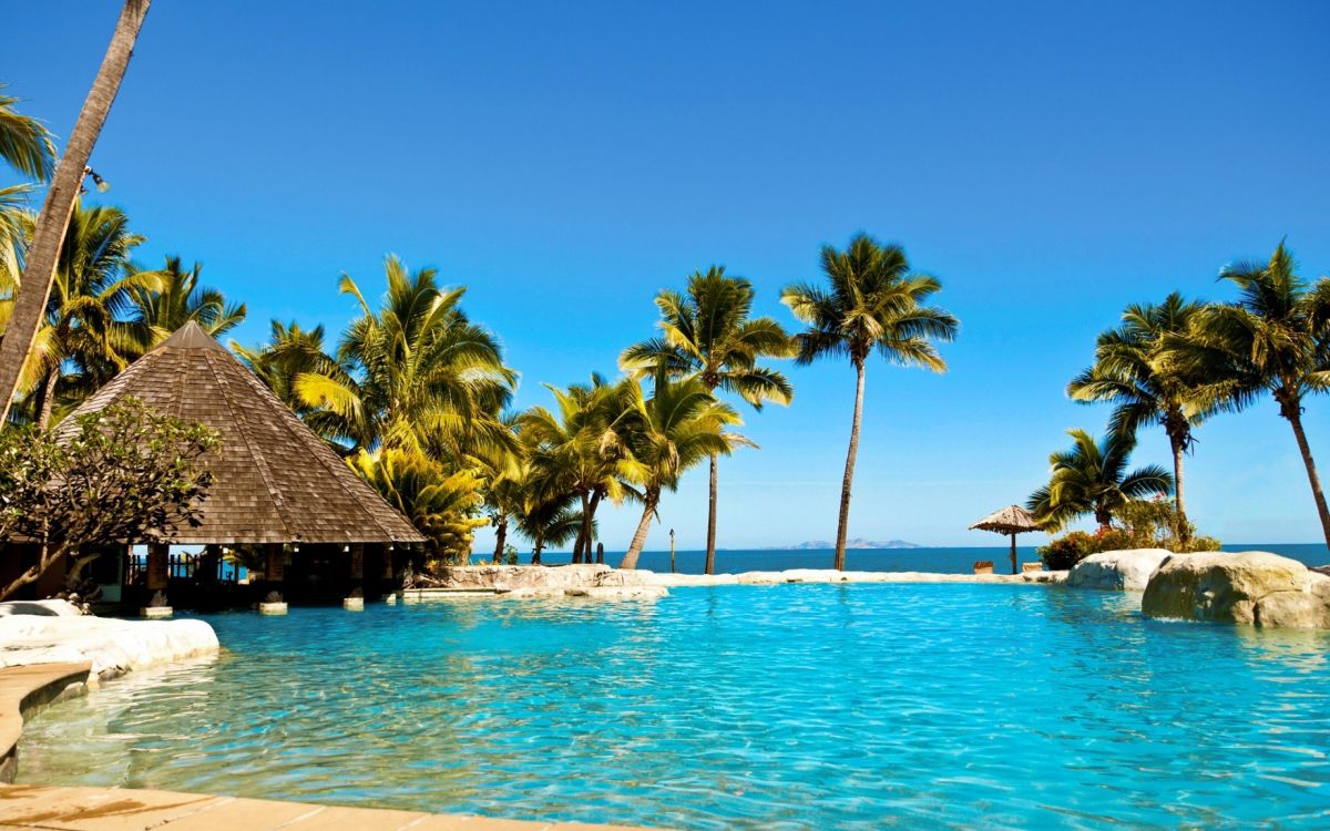 brown wooden beach house near palm trees during daytime