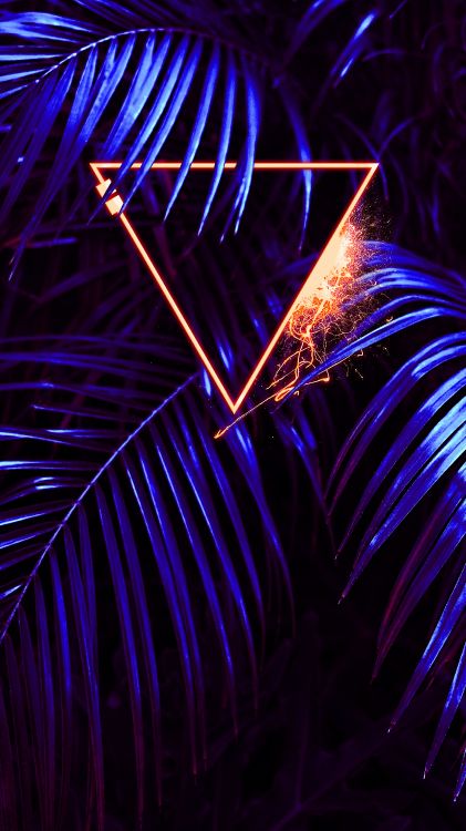 Lumière, Purple, Blue, Plante Terrestre, Minuit. Wallpaper in 3240x5760 Resolution