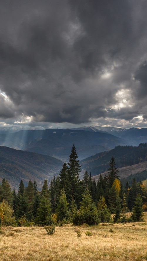 Image cloud, plant, mountain, natural landscape, tree