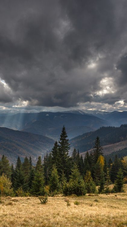 cloud, plant, mountain, natural landscape, tree