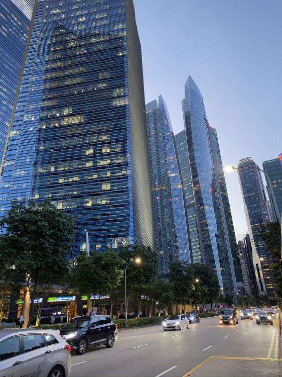 Singapur, Tower Block, Stadtgebiet, Metropole, Road. Wallpaper in 1536x2048 Resolution