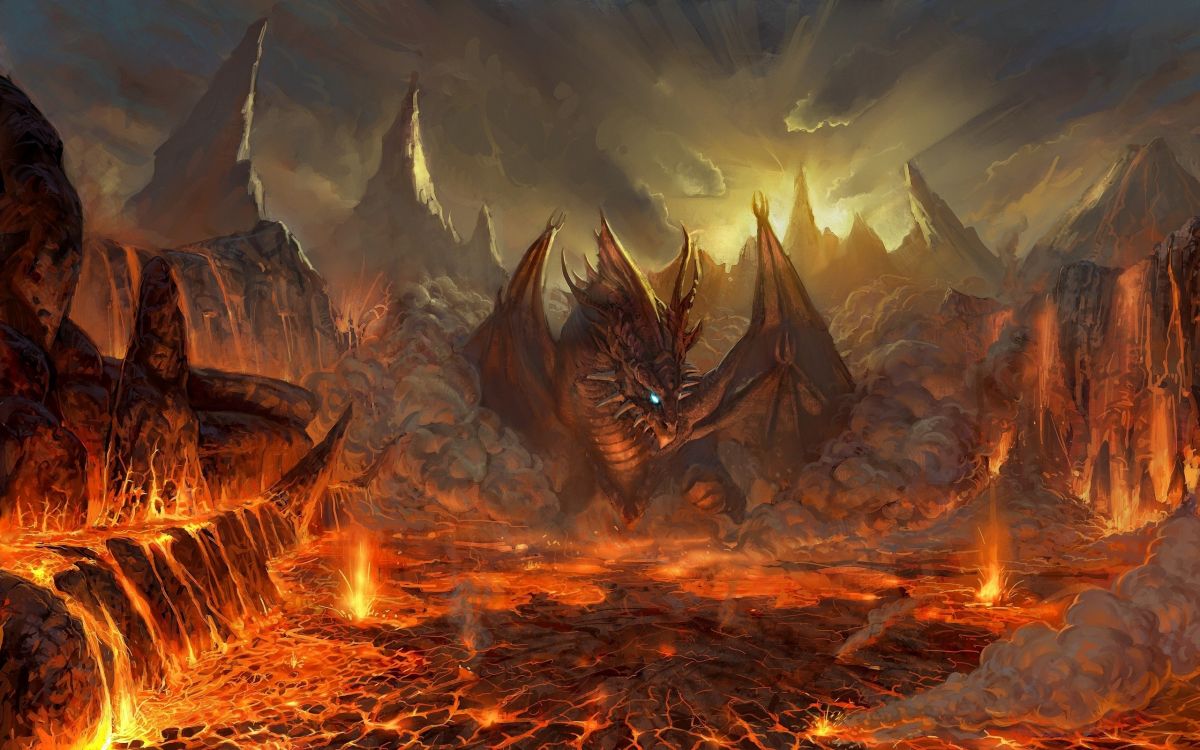 Dragon Brun et Noir en Feu. Wallpaper in 2560x1600 Resolution