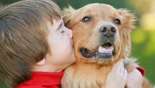 Image smiling woman in red shirt kissing brown short coated dog