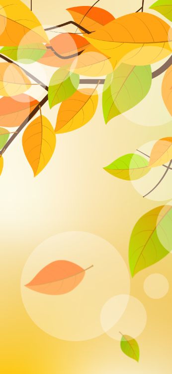 Äpfeln, Ios, IOS 14, Zweig, Branch. Wallpaper in 1242x2688 Resolution