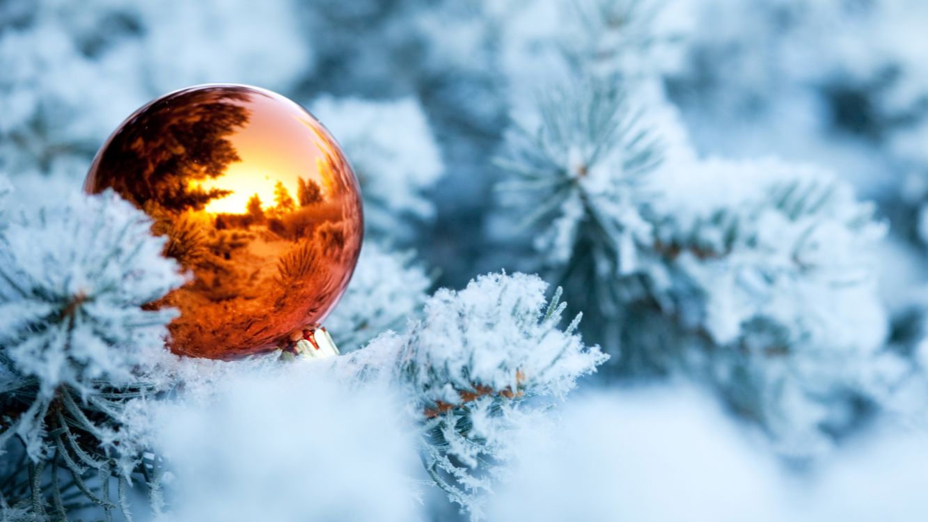 christmas decoration, winter, Christmas Day, freezing, tree