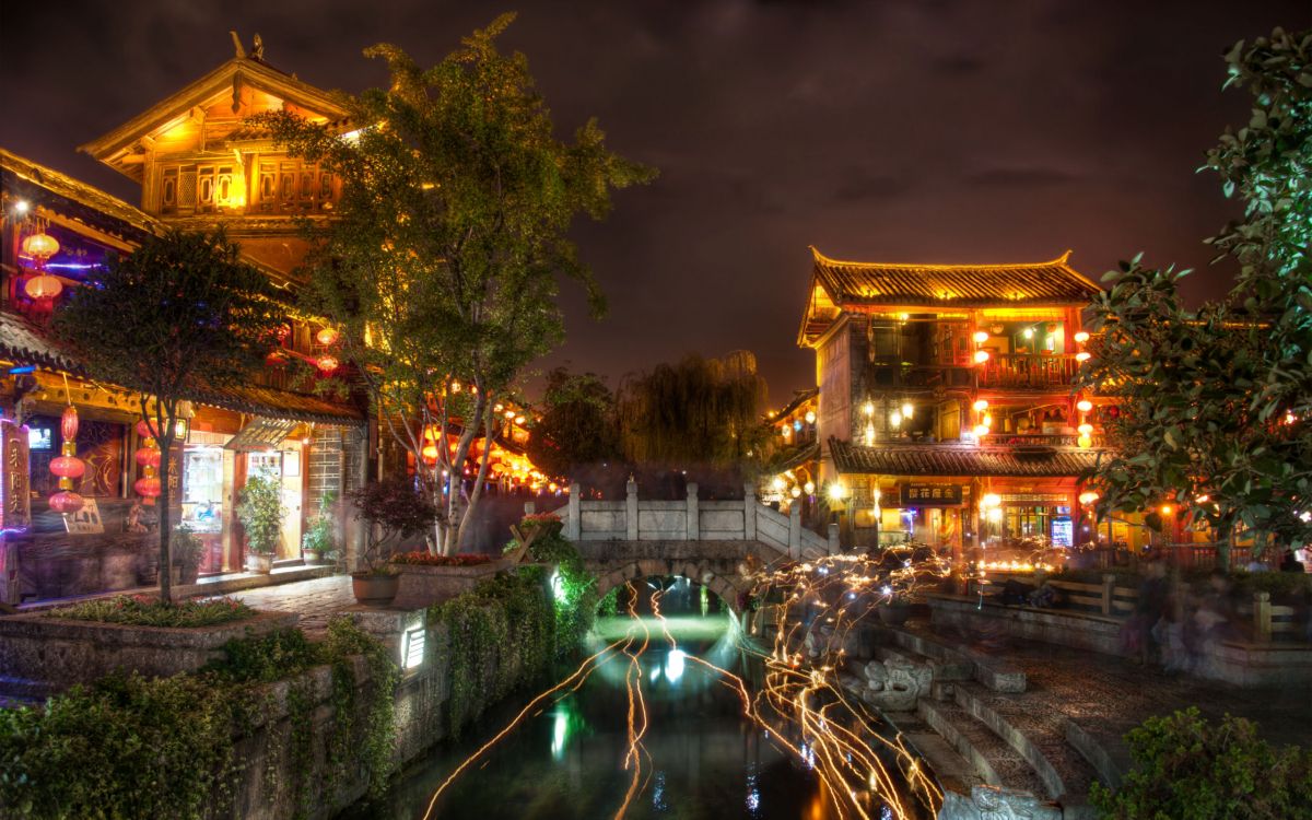 Grüne Bäume in Der Nähe Von Braunem Gebäude Während Der Nachtzeit. Wallpaper in 2560x1600 Resolution