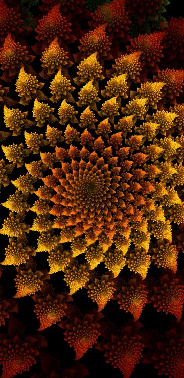 Image yellow and red flower field