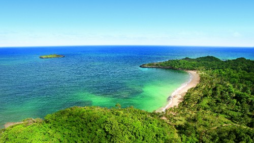 Image green trees near blue sea under blue sky during daytime